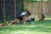 DSC_0226.JPG