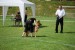 DSC_0254.JPG