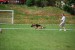 DSC_0264.JPG