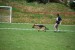 DSC_0275.JPG