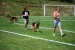 DSC_0301.JPG
