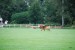 DSC_0009.JPG