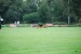 DSC_0025.JPG