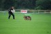 DSC_0731.JPG