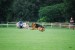 DSC_0204.JPG