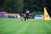DSC_0229.JPG