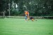 DSC_0245.JPG