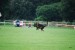DSC_0272.JPG