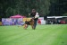 DSC_0338.JPG
