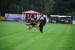 DSC_0417.JPG