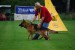 DSC_0433.JPG