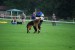 DSC_0521.JPG