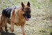 DSC_0075.JPG