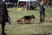 DSC_0116.JPG