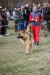 DSC_0137.JPG